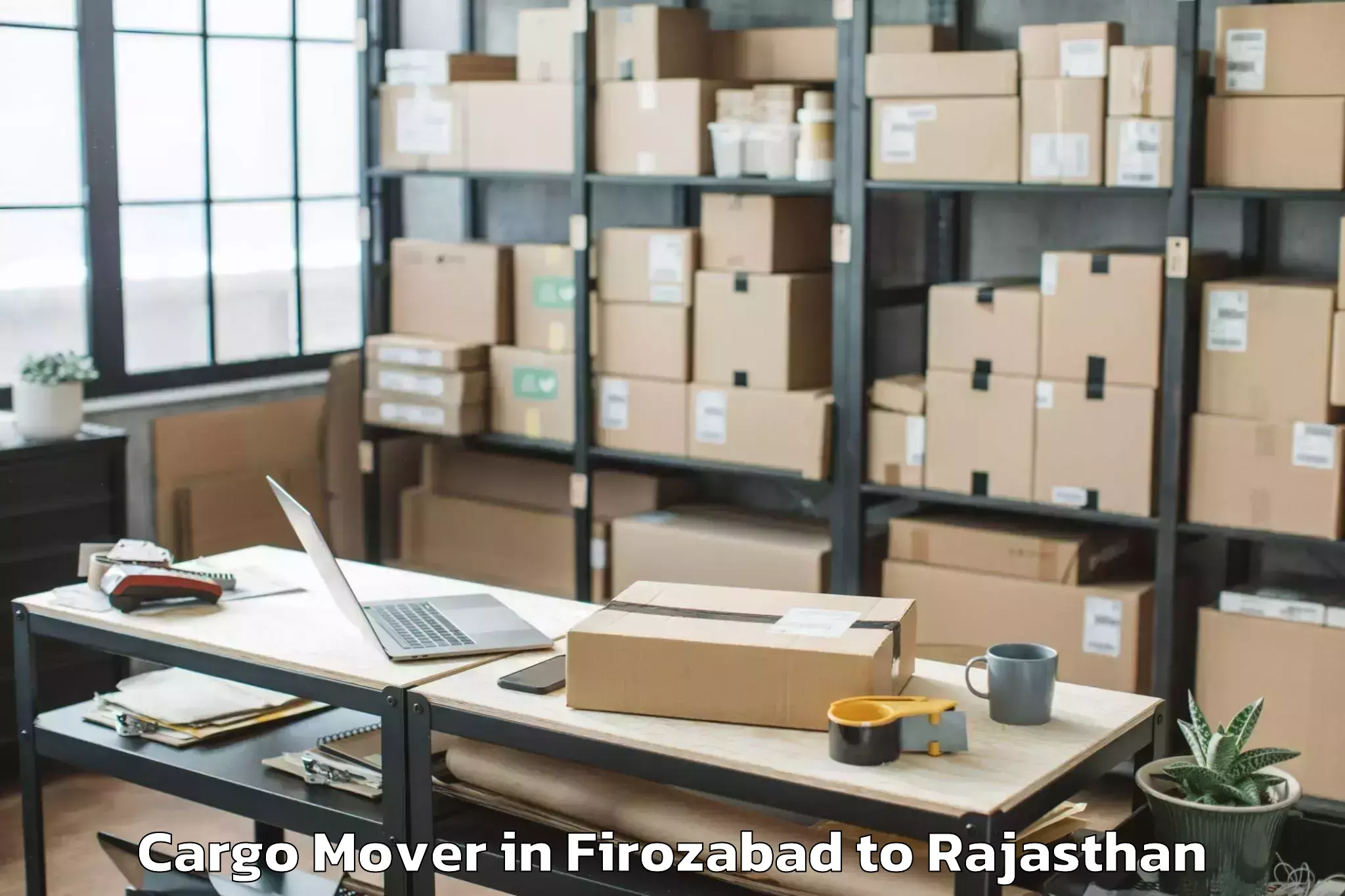 Easy Firozabad to Bari Sadri Cargo Mover Booking